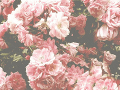 [바사라] 냉라면 먹고 싶어