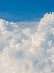 우리가 만난 그 날의 기록