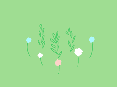 [마들에슾] 안개꽃과 로즈마리