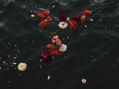 염 혜 / XX / 어태커