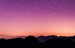 ✦Charles V. Star✦