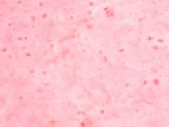 [윤재] 딸기맛 기다림 (4)