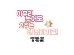 아무리 늦어도 2주는 안 넘기기로! -01