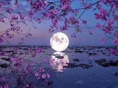 [재숕] 달이 피는 밤_2