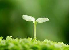 다이아나 E. 콜프레드ㅣ13ㅣXX +BGM♪