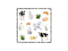 [굿노트 스티커] 오브젝트 스티커 cow ver.