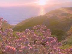 가장 유일하고 가장 맑은 거짓이 되어주세요.