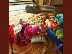 그는 단 한 번도 헷갈린 적이 없었다.