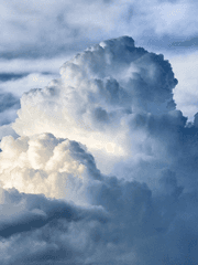 눈은 봄을 사랑할 수 없다