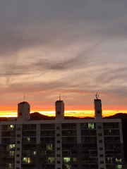 유현유진 단편 소설