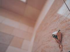 [패치/퍼블] 너를 찾으러 가는 결말