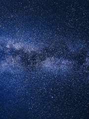 거짓말이 아니야