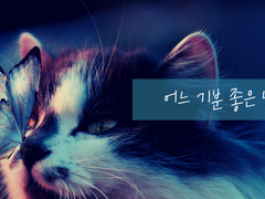 어느 기분 좋은 날