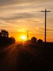 흔한 클리셰 소설