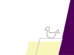 젊은이들은 어째서 고양이에게 열광하는가