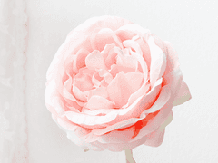 반짝이는, 당신에게