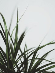 5월15일 칸논자카 돗포 생일