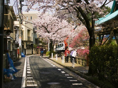 연못을 빠져나간 물고기