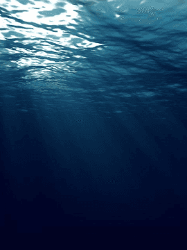 사랑의 해체解體