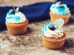 [스팁레오] 오월