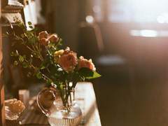 Goodbye, Our Nightmare