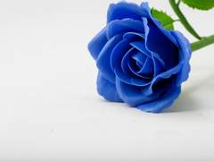 [백망되/정록] 허상