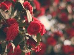 TICK-TOCK TICK-TOCK 6