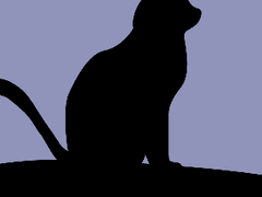 나의 고양이님(2)