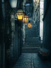 백망되 | 현대팀