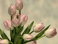 [수혁록수/장편] 거짓말쟁이와 사기꾼의 포식관계11