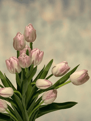 [수혁록수/장편] 거짓말쟁이와 사기꾼의 포식관계