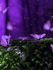 꽃에서 춤추는 날개 없는 나비