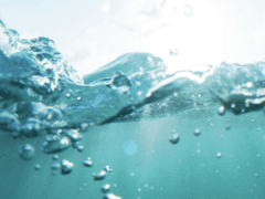 내 연극에 온 걸 환영해!