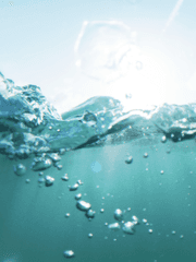 물빛이 드는 내일에게