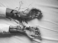 Who is he? : Demian 'Demi' Bolkov Alexus.