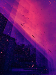 불멸의 그대에게