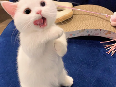 127막내 김여주 모먼트 EP.23