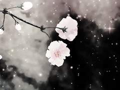 키타카게, 오래된 이야기 2