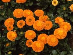 만나지 않았더라면 좋았을까