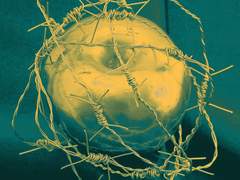 사과꽃은 노란색일까