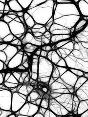 감각에 대한 고찰