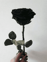 중혁독자/ 중독