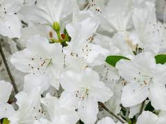 유 환희 / XY / 3 / 무용과(발레)