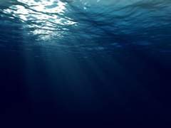 우리, 바다에서 다시 만날까.