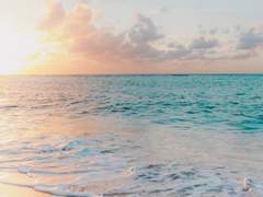 [ 온 유리 | XX | 2학년 | 무용과 ]