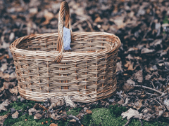 패러디 단편 개요 (수정)