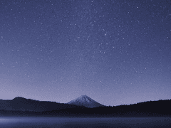 별은 땅에 피고