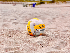 샌프란시스코 버드 와이저 2