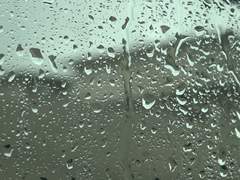 비 오는 숲의 요정