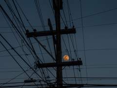 미안해 솔직하지 못한 내가